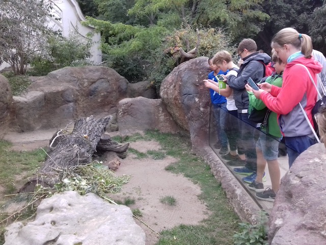 Zoobesuch