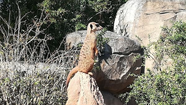 Zoo