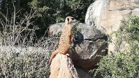 Zoo